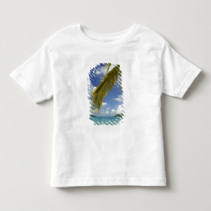 Camiseta De Bebé Caribe, Islas Vírgenes de los Estados Unidos, St.T