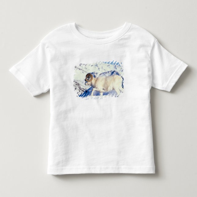 Camiseta De Bebé carnero de Dall, Ovis dalli, carnero de cuerno com (Anverso)