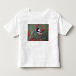Camiseta De Bebé Carolina Chickadee