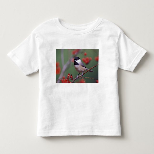 Camiseta De Bebé Carolina Chickadee (Anverso)