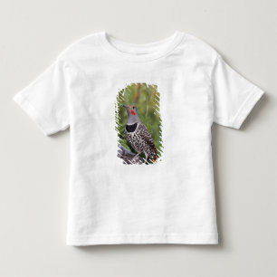 Camiseta De Bebé Carpintero americano, Colaptes auratus, de eje roj