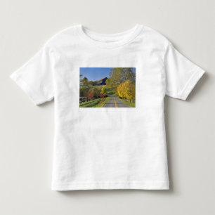 Camiseta De Bebé Carretera rural a través de la región Bluegrass de