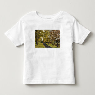Camiseta De Bebé Carretera rural a través de la región Bluegrass de
