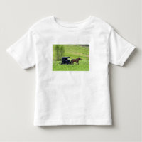 Carro y caballo Amish cerca de Berlín, Ohio.