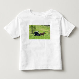 Camiseta De Bebé Carro y caballo Amish cerca de Berlín, Ohio.