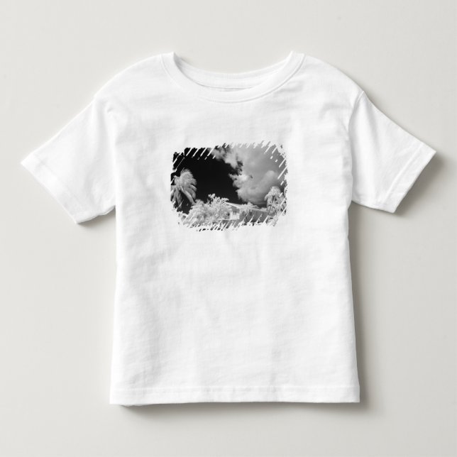 Camiseta De Bebé casa de Florida Keys y sus palmeras, EE. UU. (Anverso)