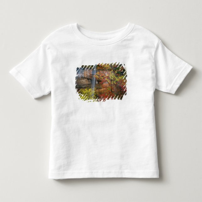 Camiseta De Bebé Cascada, arce de dientes grandes Acer (Anverso)