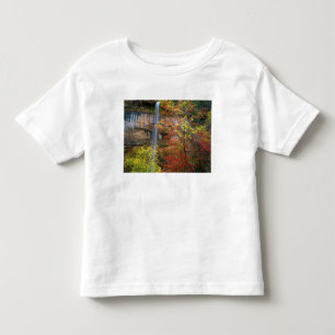 Camiseta De Bebé Cascada, arce de dientes grandes Acer