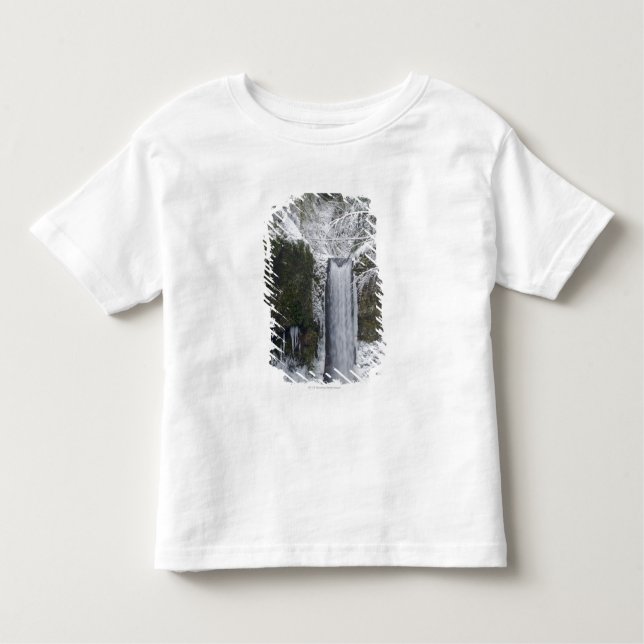 Camiseta De Bebé Cascada borrosa rodeada por un bosque Nevado (Anverso)