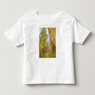 Camiseta De Bebé Cascada del estanque esmeralda inferior Roca y árb