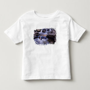 Camiseta De Bebé Cascada Fish Creek cerca de Steamboat Springs Colo