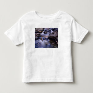 Camiseta De Bebé Cascada Fish Creek cerca de Steamboat Springs Colo