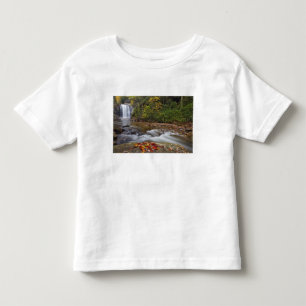 Camiseta De Bebé Cascada Looking Glass en el Pisgah National