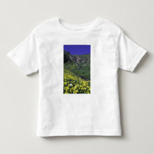 Camiseta De Bebé Cascada y flores silvestres en prado alpino,
