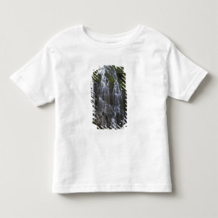 Camiseta De Bebé Cascadas Ramona en el condado de Clackamas, Oregón