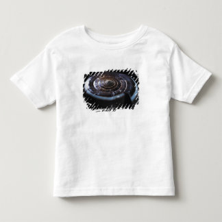 Camiseta De Bebé Cáscara del cono