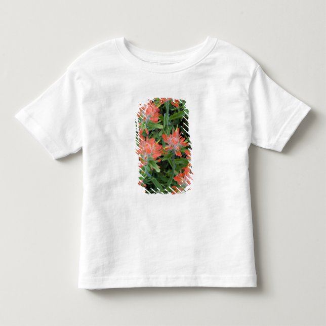 Camiseta De Bebé Castilleja en el Many (Anverso)