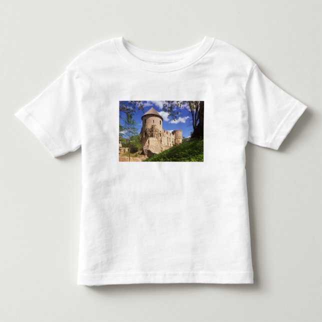 Camiseta De Bebé Castillo de Cesis en el centro de Letonia. (Anverso)