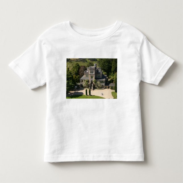 Camiseta De Bebé Castillo de Larnach, Dunedin, Nueva Zelanda - aére (Anverso)