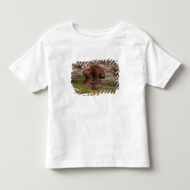 Camiseta De Bebé castor, Castor canadensis, va a nadar (Anverso)