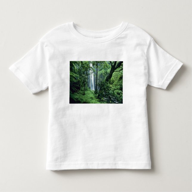 Camiseta De Bebé Cataratas Hanakapiai a lo largo de la costa de Na  (Anverso)