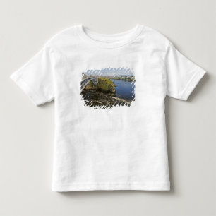 Camiseta De Bebé Cataratas invertidas en el río St. John en St.