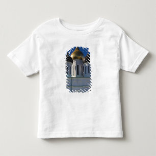 Camiseta De Bebé Catedral del Kremlin de Pskov y la Trinidad