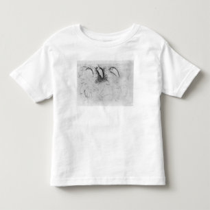 Camiseta De Bebé Catorce egrets, el álbum de Vallardi
