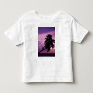 Camiseta De Bebé Cayo Ambergris, Belice, América Central.