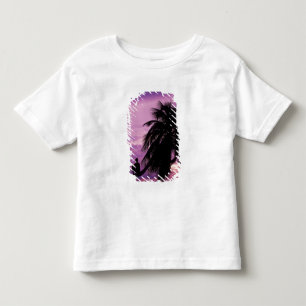 Camiseta De Bebé Cayo Ambergris, Belice, Centroamérica.