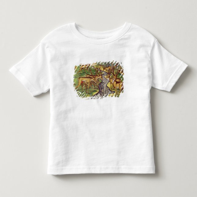 Camiseta De Bebé Caza del macho, de 'Narratio breve (Anverso)
