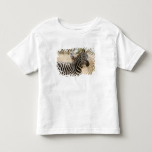 Camiseta De Bebé Cebra en el Parque Nacional Meru, Kenia.