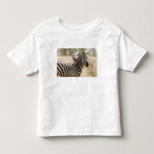 Camiseta De Bebé Cebra en el Parque Nacional Meru, Kenia.