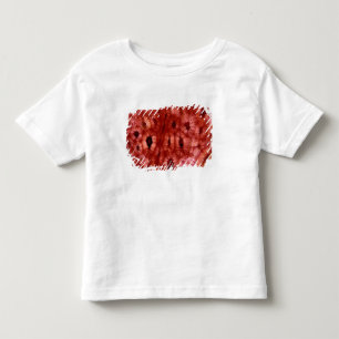 Camiseta De Bebé Células de Sclerenchyma de un hoyo de la cereza