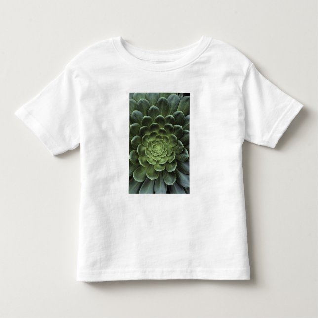 Camiseta De Bebé Centro del cactus (Anverso)