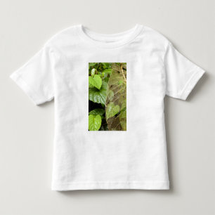 Camiseta De Bebé Centroamérica, Costa Rica, Sarapiqui, Braulio