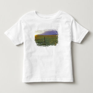 Camiseta De Bebé Cerca de alambre de púas en el noreste de Montana