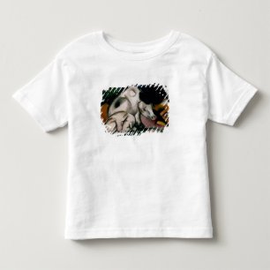 Camiseta De Bebé Cerdos, c.1912 (aceite en lona)