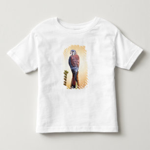 Camiseta De Bebé Cernícalo americano, Falco sparverius, Nativo de E