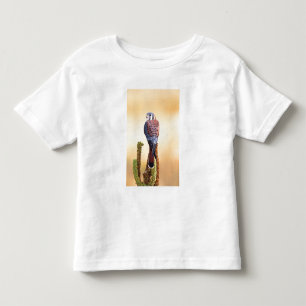 Camiseta De Bebé Cernícalo americano, Falco sparverius, Nativo de E