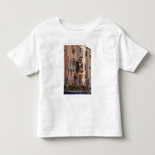 Camiseta De Bebé cestas de flores y detalles decorativos del Palaci