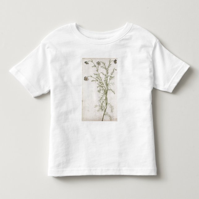 Camiseta De Bebé Chamaemelum Allioni nobile, c.1568 (Anverso)