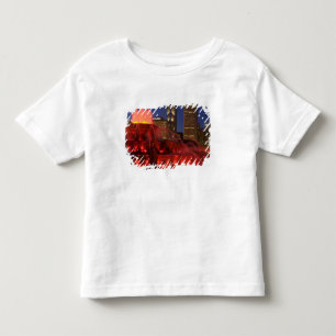 Camiseta De Bebé Chicago, Illinois, fuente de Buckingham