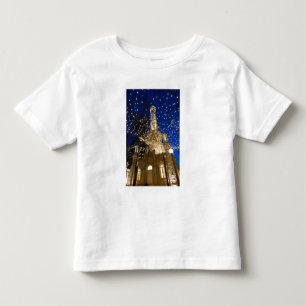 Camiseta De Bebé Chicago, Illinois, torre de agua vieja con día de