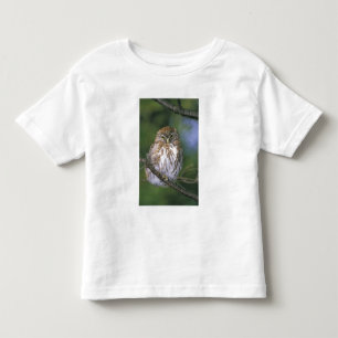 Camiseta De Bebé Chile, Aysen. Cachorro de lechuza austral