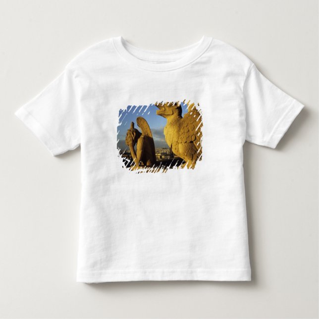 Camiseta De Bebé Chimera, Catedral de la Señora, París, Francia (Anverso)