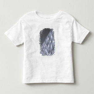Camiseta De Bebé China, Pekín. Centro Acuático Nacional