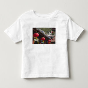 Camiseta De Bebé CHINA, Provincia de Chongqing, Fengdu. Fantasma de