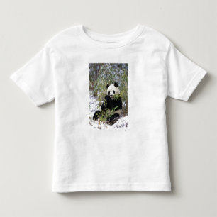 Camiseta De Bebé China, provincia de Sichuan. El panda gigante se a