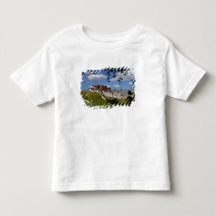 Camiseta De Bebé China, Tíbet, Lhasa, Palacio de Potala